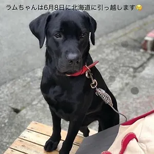 ゲストハウス 箱根ゲストハウス Toi 箱根町